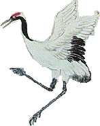 Bai Hok Pai